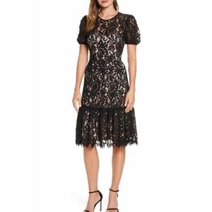 Eliza J Puff Sleeve A-Line Lace sheer Dress